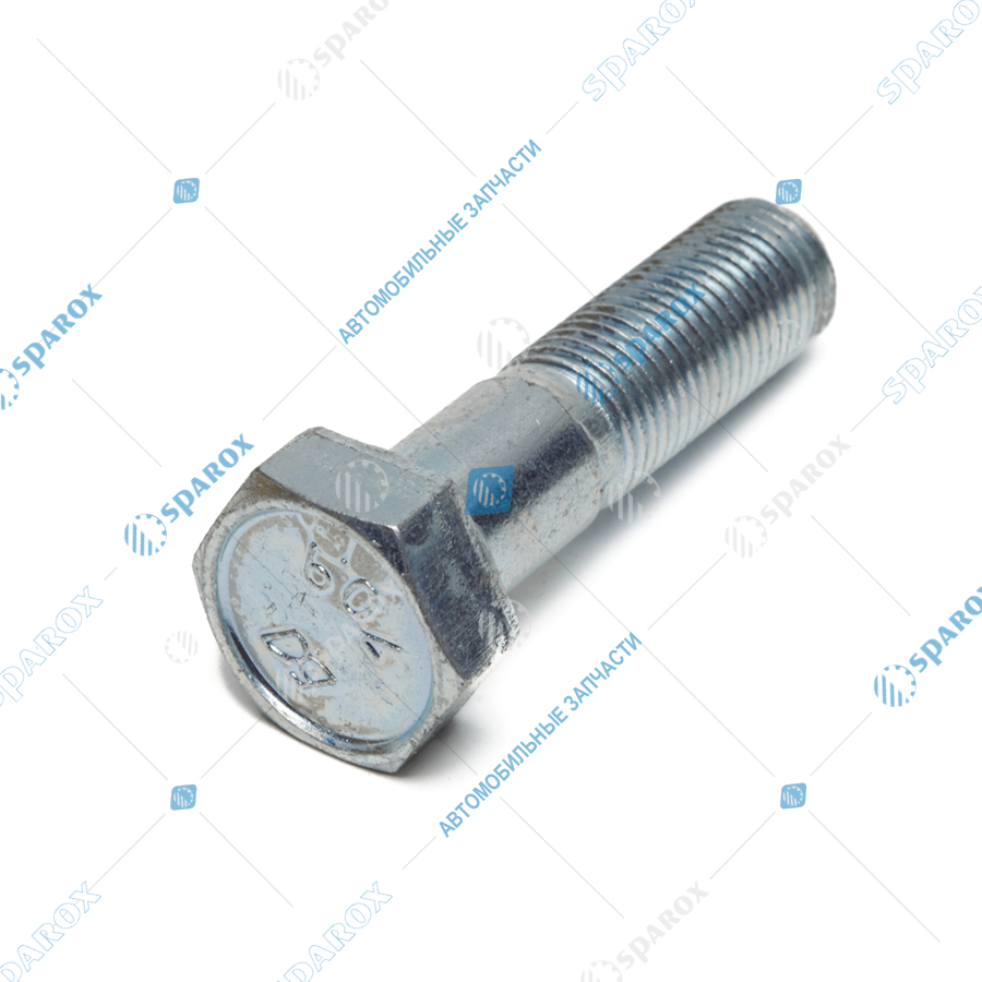1/59707/21 Болт М10х1,25х25 Камаз 1/59707/29 (Технотрон-Метиз)