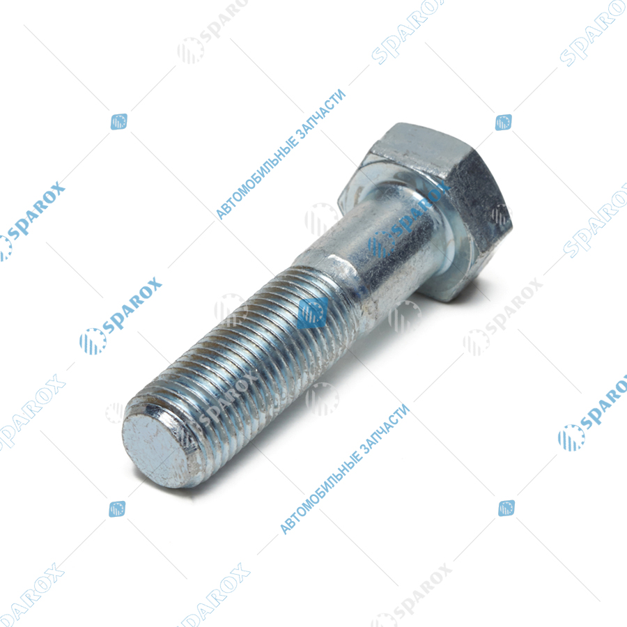 1/59707/21 Болт М10х1,25х25 Камаз 1/59707/29 (Технотрон-Метиз)