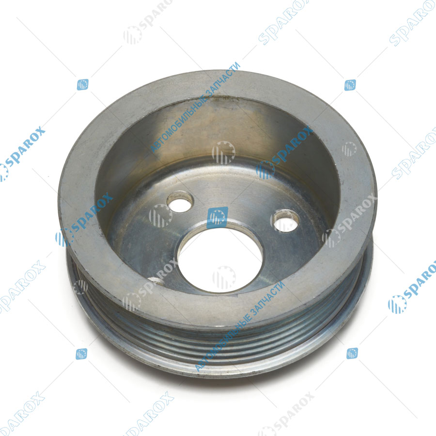 4216-1308025-20 Шкив водяного насоса ДВ-4216 ЕВРО-4 ГАЗель Бизнес (УМЗ) (поликлиновой ремень)