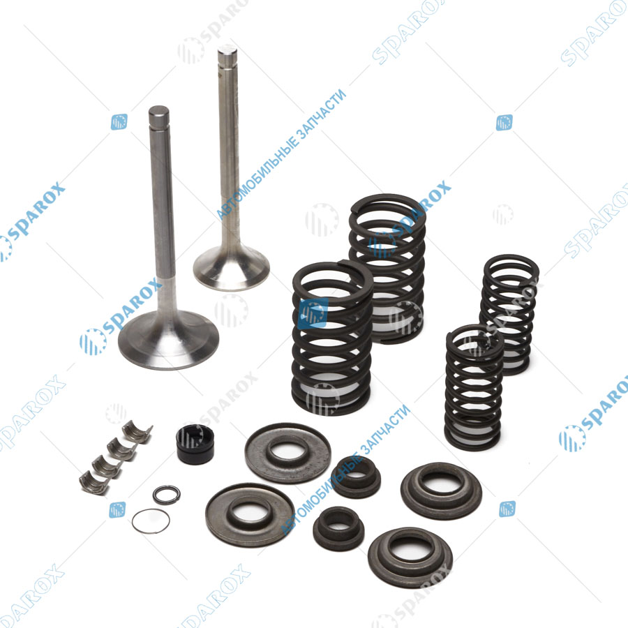 236-Р-1007001 Р/к замены клапанов ЯМЗ-236,238 (пружины,тарелки,клапан)