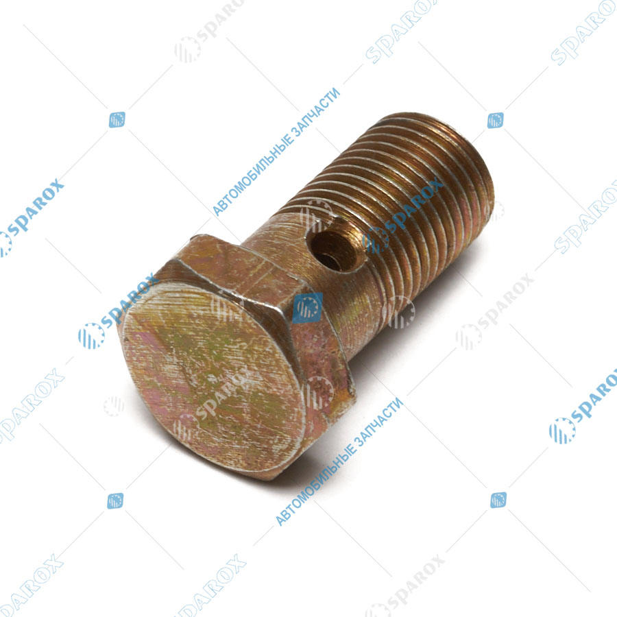 ЯМЗ-310122-П29 Болт М10х22 топливной трубки ТНВД 310122-П29 (Автодизель)
