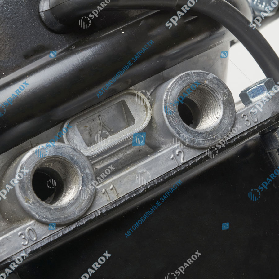 FENOX-BCDE30001 Камера тормозная МАЗ, КРАЗ тип 30/30, с э/аккум BCDE30001 ан.100-3519300 (FENOX)