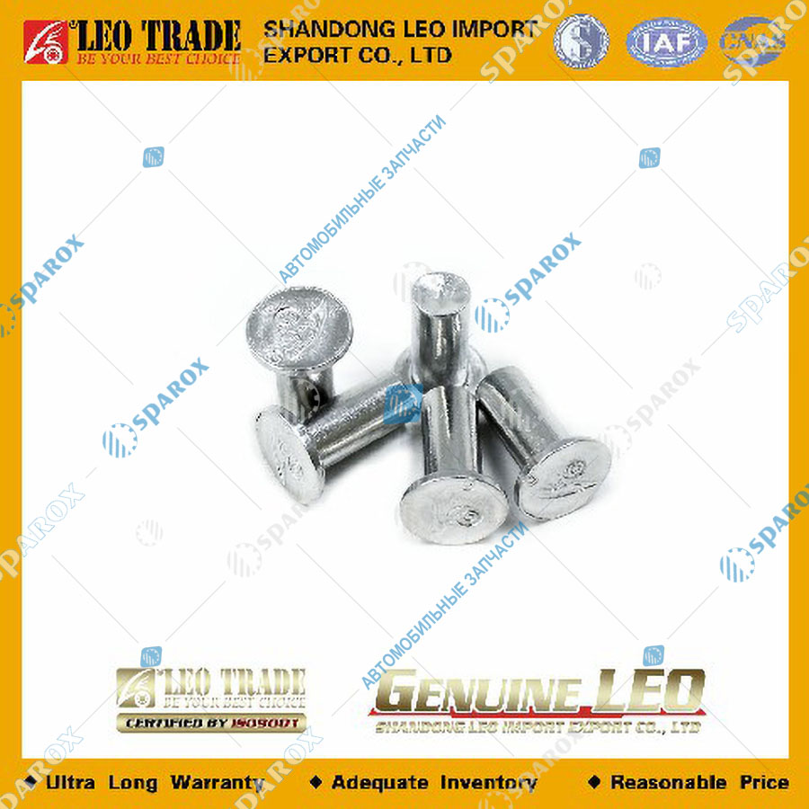 LEO Trade-LEO600214A Заклепка тормозной колодки 10х20 Sitrak, Shacman, Foton