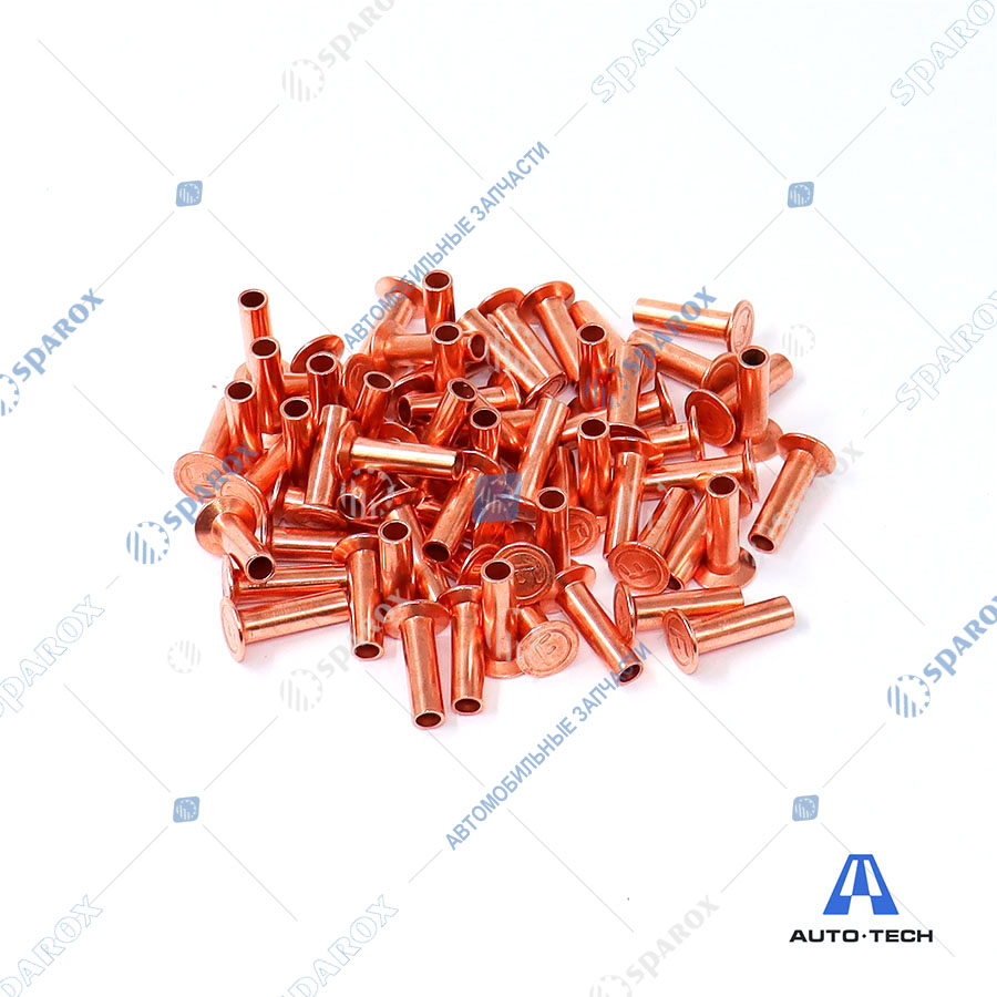 Avto-Tech-AT0310 Заклепка 6*22 FAW 2011 железо  AVTO-TECH