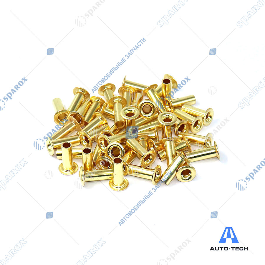 Avto-Tech-AT0313 Заклепка 8*24 латунь  AVTO-TECH