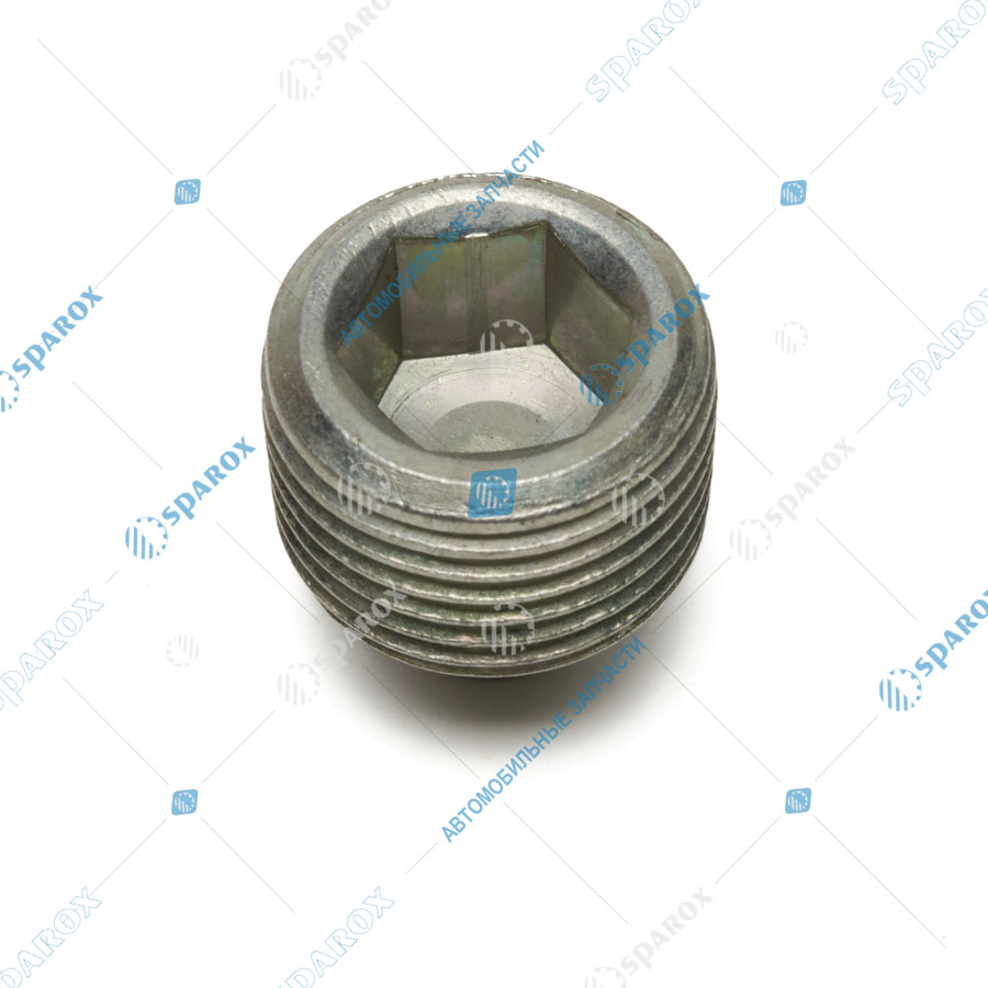 31029-1701098 Пробка магнитная КПП ГАЗель, Соболь, Волга (ОАО ГАЗ)