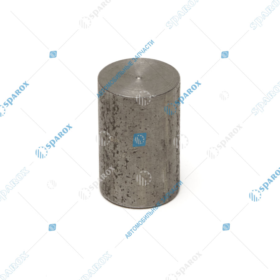 3309-1702089 Заглушка втулки фиксатора КПП ГАЗ-3309, 3310 Валдай, 33081 Садко (ОАО ГАЗ)