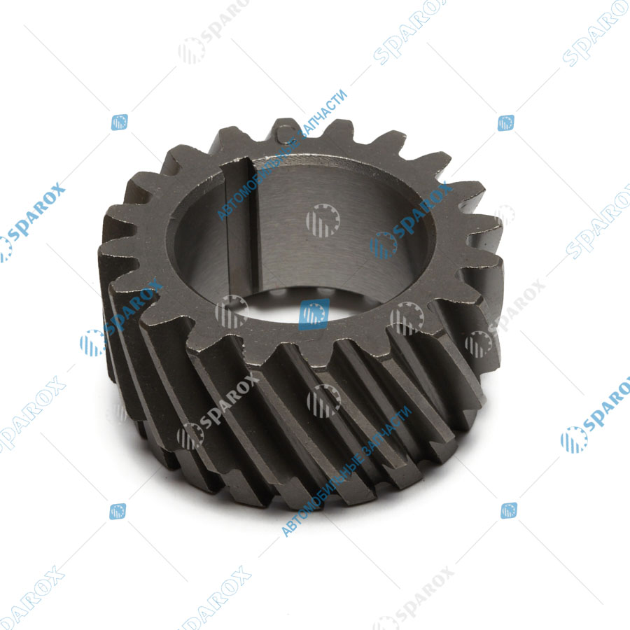Д30-1006285 Шестерня распределительного вала Z=20 Д-144 ведущая