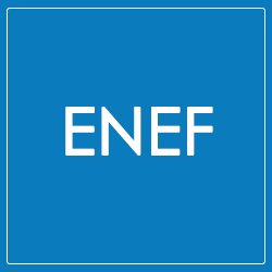 Производитель ENEF