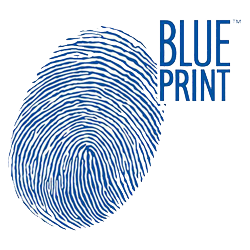 Производитель Blue Print